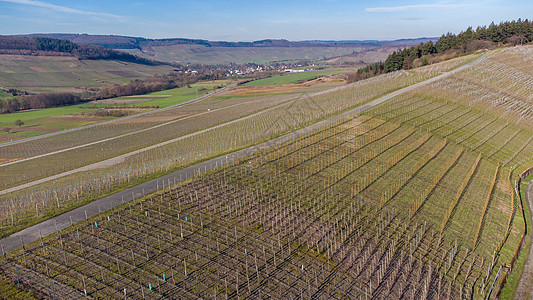 与葡萄园和村一道对Moselle河谷进行空中观察图片