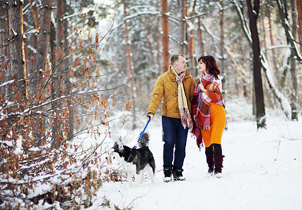 年轻夫妇在冬季公园笑笑和玩得开心 带着他们的哈斯基狗乐趣毛衣朋友宠物成人树木动物微笑家庭友谊图片