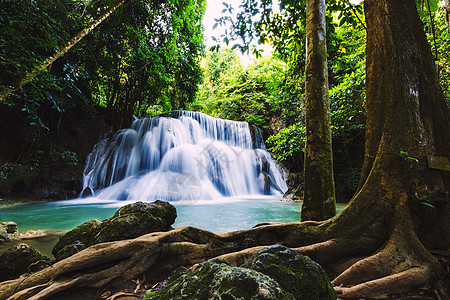 泰国的瀑布天堂荒野丛林岩石植物森林公园水池溪流木头图片