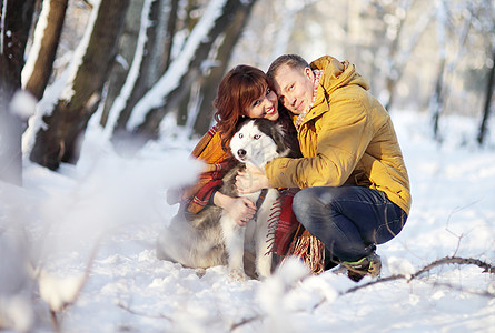 情侣在冬季公园微笑和玩乐 带着他们的哈斯基狗男性成人森林男人家庭宠物动物树木女士夹克图片
