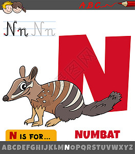 带有卡通食蚁兽动物特征的字母表中的字母 N图片