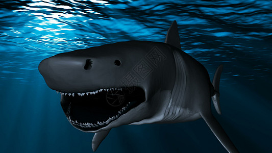 鲸鲨特写三维成像图片