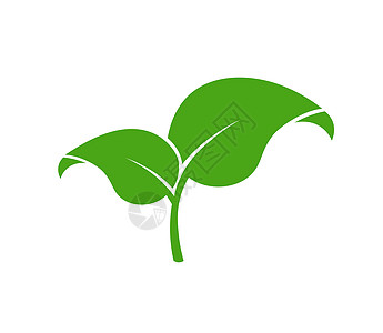 生态绿叶 叶生态标志 矢量平面图标集 素食有机植物薄荷回收卡片燃料生活生物植物群森林房子标识图片
