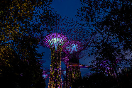 晚上从海湾旁看花园新加坡码头照明地标树木商业建筑游客公园旅游场景图片