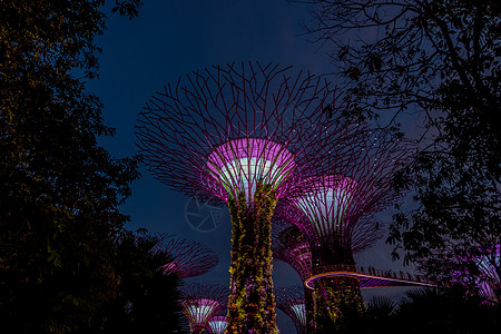 晚上从海湾旁看花园新加坡商业化身雕塑吸引力建筑学景观天空场景公园技术图片