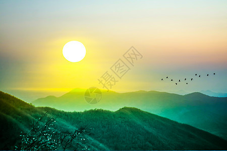 清晨天亮在青山和月光鸟的黄金天空上飞翔图片