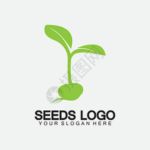植物种子标志概念模板标志插图设计模板标识叶子生态农场土壤生物公司生长环境生活图片