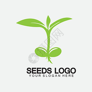 植物种子标志概念模板标志插图设计模板食物叶子商业植物群土壤生长生态生物发芽生活图片