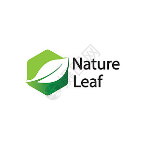 自然符号模板的叶标志设计矢量可编辑 绿叶标志生态自然元素矢量图标标识生活网络卡片字体环境身份叶子商业艺术图片