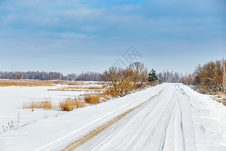 阳光明媚的一天 沿湖走着白雪路高清图片