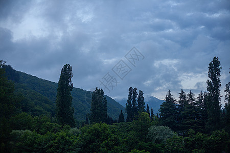 山中阴云的夜晚天空树木山脉森林绿色图片