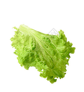白色背景上孤立的绿色生菜叶植物沙拉叶子农业饮食蔬菜食物营养图片