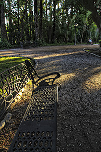 在Elche市公园的阴影下 用铁棍在黑洞中穿梭植物光束娱乐座位草地沥青场地牧歌花园树叶图片