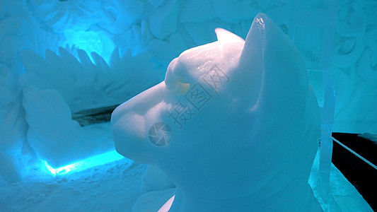 瑞典2020年2月27日吸引力蓝色冰雕艺术雕塑家艺术家节日建筑数字气候图片