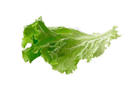 白色背景上孤立的绿色生菜叶植物蔬菜食物沙拉叶子营养农场饮食图片