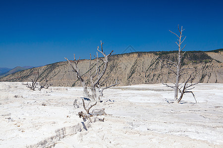 Mammoth热泉露台 美国怀俄明州怀俄明州喷泉蓝色岩石阳台地标蒸汽橙子国家石灰华火山图片