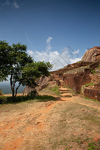 Sigiriya狮子的岩石宫殿和堡垒之上的废墟 斯里兰卡佛教徒国王爬坡宗教地标寺庙森林建筑石头游客图片
