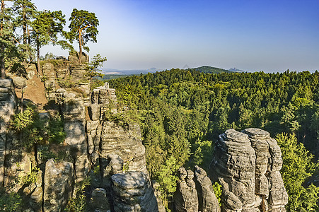 捷克天堂的沙石岩通道峡谷纪念碑杂草石头环境砂岩岩石森林风格图片