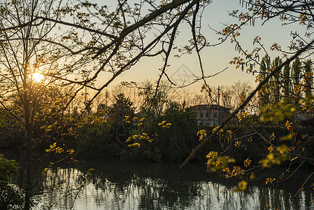 春天日落时看到池塘图片