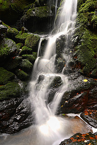 自然  小溪上美丽的小瀑布 自然多彩的背景与自来水在森林里的石头上岩石季节叶子溪流丛林运动木头场景苔藓植物图片
