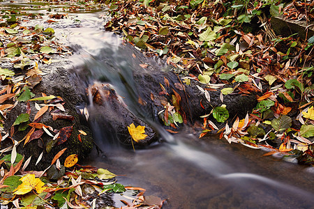 美丽的秋天自然与溪流相伴 秋叶 自然季节性彩色背景瀑布场景森林蓝色流动岩石运动石头环境旅行图片