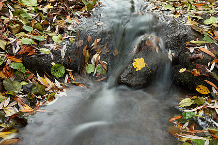 美丽的秋天自然与溪流相伴 秋叶 自然季节性彩色背景岩石生态季节苔藓旅行石头运动叶子环境蓝色图片
