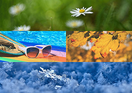 4个季节的自然相片 春季夏季秋冬图片