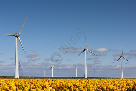 荷兰风车自然活力高清图片