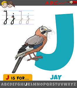 带有卡通松鸦鸟动物特征的字母表中的字母 E图片