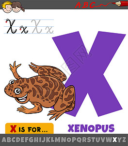 带有卡通非洲爪蟾动物特征的字母表中的字母 X图片