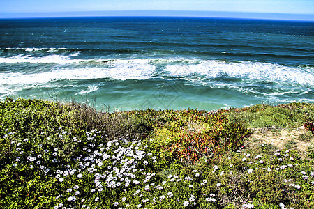 观察大西洋并覆盖着植被的悬崖边边缘环顾大西洋花朵植物阳光岩石石头海景观光旅游海洋衬套图片