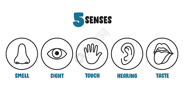 五种感官概念与人体器官解剖学孩子们部位教育舌头五感眼睛情怀卡通片医疗背景图片