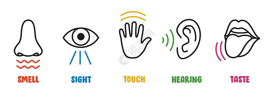 五种感官概念与人体器官鼻子生理情怀插图卡通片孩子们五感眼睛部位保健背景图片