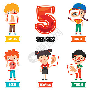 五种感官概念与人体器官保健情怀洞察力卡通片孩子身体孩子们眼睛耳朵舌头背景图片