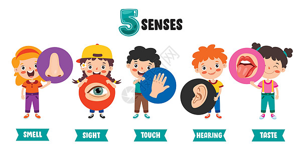 五种感官概念与人体器官生理耳朵孩子鼻子卫生情怀孩子们舌头眼睛卡通片背景图片