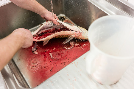 烹胃菜虾鱼煮熟后准备男人厨房餐厅食物内脏男性烹饪酒店职业鲤鱼图片