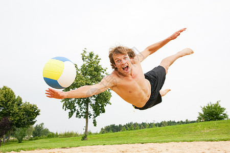 海滩排排球活力男人树木天空运动员闲暇空气竞赛成人游戏图片