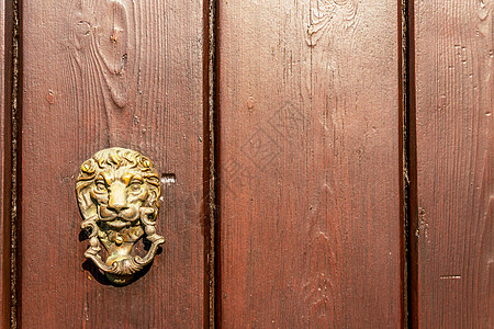 以狮子头形的黄铜敲门 漂亮的入屋入口 很美丽历史建筑学橡木圆圈木头雕塑门铃金属青铜金子图片