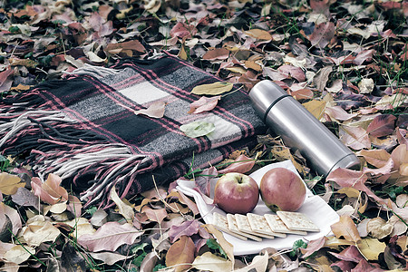 早餐 毛毯 热水 食物咖啡概念空气格子野餐松针苔藓远足假期热水瓶图片