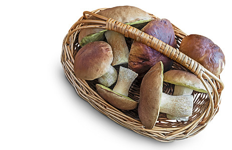 白色背景的篮子里装着蘑菇图片