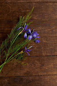 木桌上的一束野生紫色鸢尾花礼物植物蓝色植物学桌子乡村季节背景框架花束图片