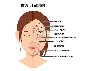 皱纹脸和无皱纹脸女性脸矢量图日本图片