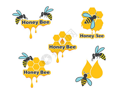 蜂蜜蜜蜂徽标模板矢量图标它制作图案标识剪贴簿昆虫收藏卡通片动物群生物广告食物蜂巢图片