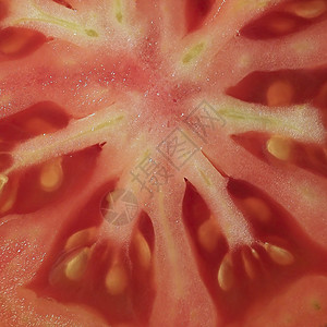 切片番茄宏背景图片