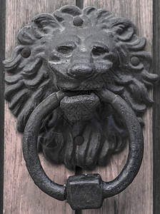 以狮子头形的黄铜敲门 漂亮的入屋入口 很美丽木头雕塑建筑学古董金子风化金属历史青铜门把手图片