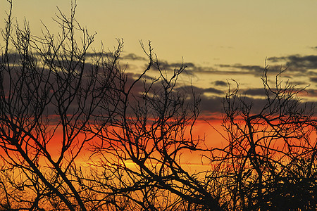 阿利坎特日落的云云和美丽的天空太阳假期日落光束金子天气植被力量活力山脉图片