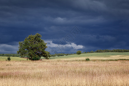夏季风景与大暴雨抗争蓝色土地风暴季节环境农场乡村草地农村天空图片