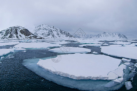 挪威斯瓦尔巴北极 挪威斯瓦尔巴的漂浮冰雪山野生动物风景冰川全球冰山海岸栖息地环境海洋生态旅游图片