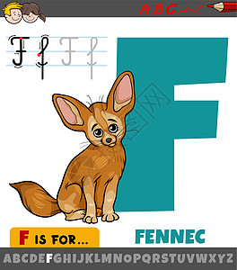 带有卡通 fennec 动物特征的字母表中的字母 F图片