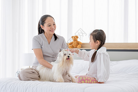 亚洲小女孩和白狗玩耍 坐在妈妈身边照顾卧室 幸福家庭的概念让人感到放松 可以和自己的宠物呆在家里女士母亲猎犬女孩快乐房子童年乐趣图片